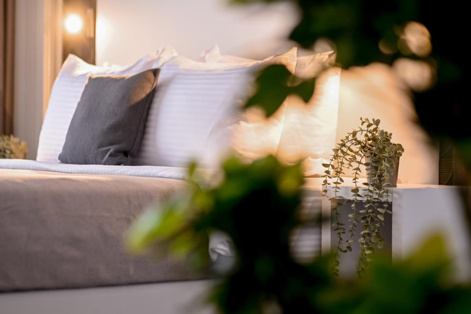 Urban Elegance - Stylish *